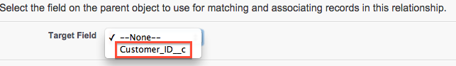 Select Customer_ID__c as the value of Target Field and click Next.